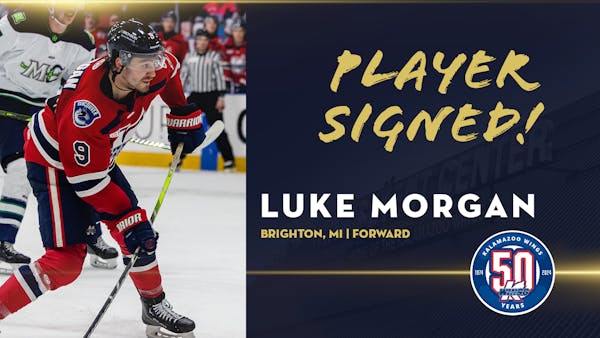 K-WINGS SIGN FORWARD LUKE MORGAN