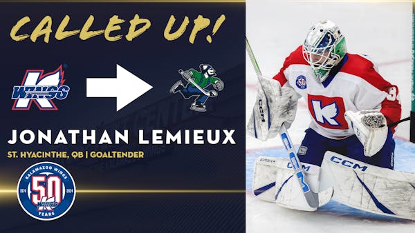ABBOTSFORD (AHL) RECALLS GOALTENDER JONATHAN LEMIEUX FROM LOAN