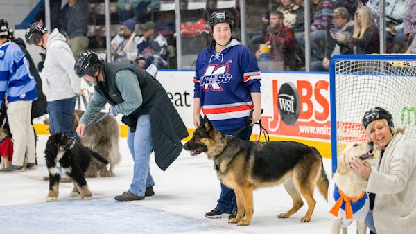 PUCKS N' PAWS | 'SCOOBY DOO' NIGHT | $3 FRIDAY