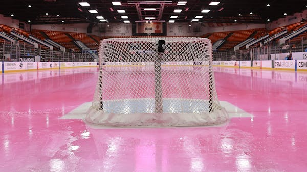 K-WINGS KNOW BEFORE YOU GO: 2025 PINK ICE WEEKEND