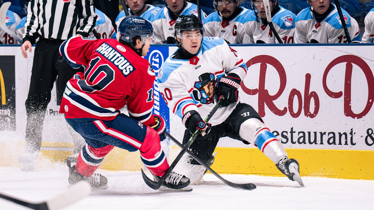 K-WINGS BESTED IN MID-WEEK TILT AGAINST BISON