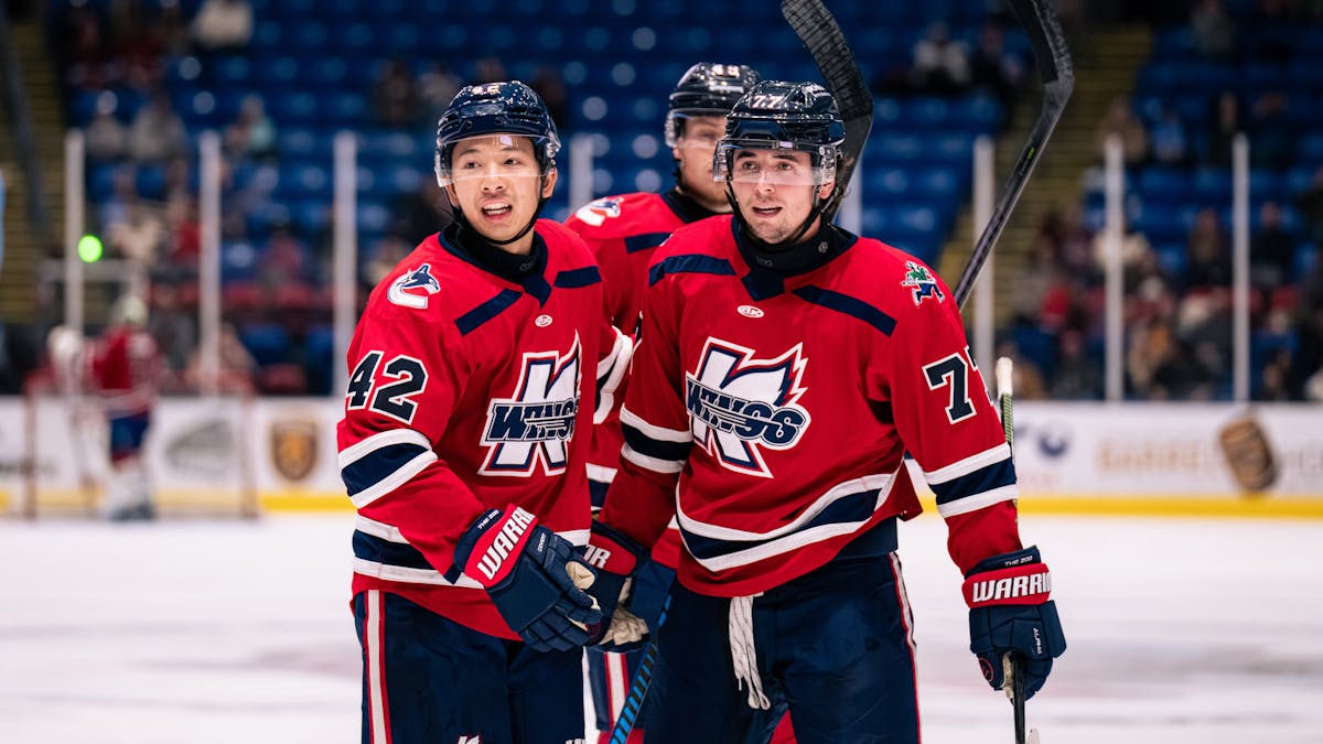 K-WINGS CLIP BISON ON ROAD FRIDAY