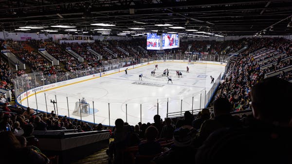 50 YEARS OF WINGS FANDOM &amp; GENERATIONAL MEMORIES