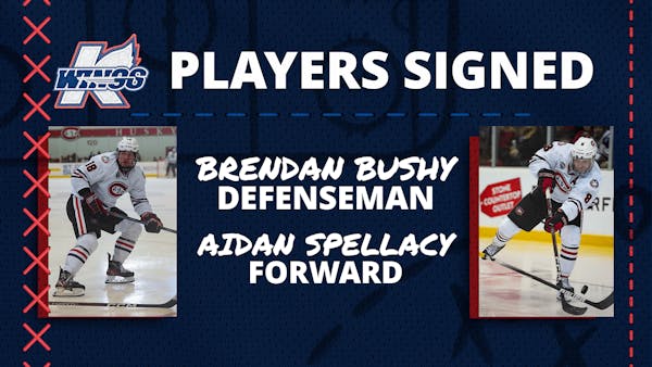 K-WINGS SIGN ROOKIES BUSHY &amp; SPELLACY FROM HUSKIES