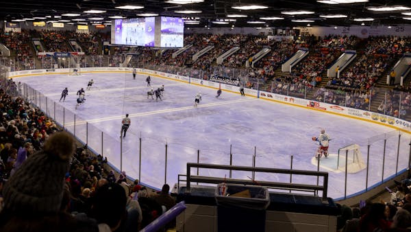 LAVENDER ICE HOSTS 4,964, BACK ON ROAD THIS WEEK