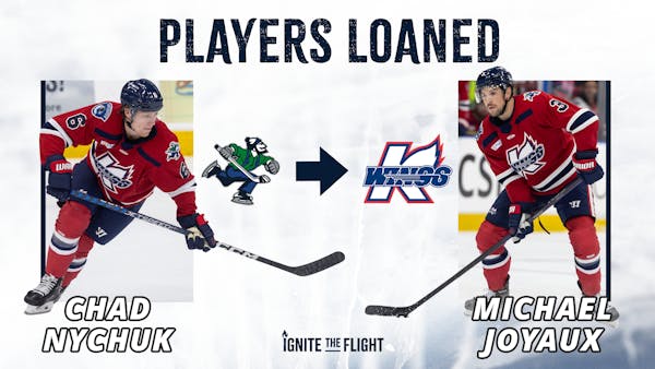 KALAMAZOO LOANED DEFENSEMEN, CANUCKS (AHL) RETURN JOYAUX &amp; NYCHUK