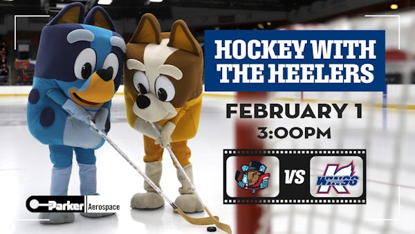 Hockey with the Heelers