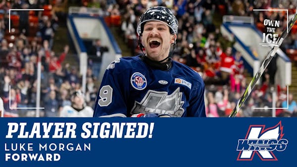K-WINGS SIGN FORWARD LUKE MORGAN