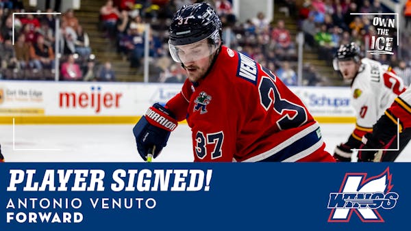K-WINGS INK PAIR OF MICHIGAN NATIVES, ADD ROOKIES VENUTO &amp; BORGIEL (PTO)