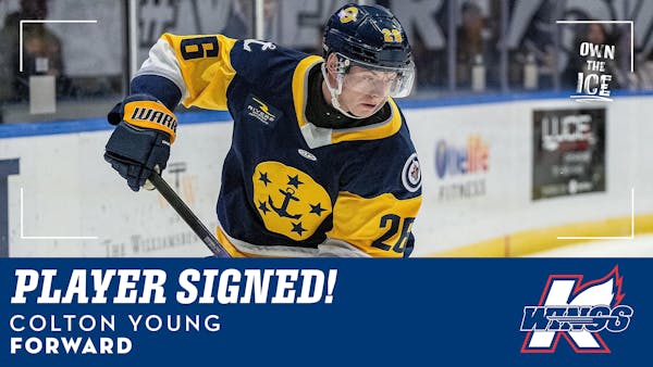 K-WINGS LAND FORWARD COLTON YOUNG FOR 2025-26