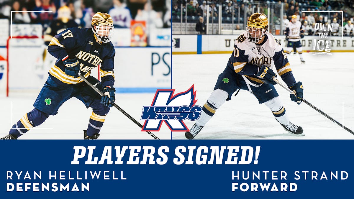 K-WINGS ADD IRISH ROOKIE PAIR IN STRAND &amp; HELLIWELL FOR 2025-26