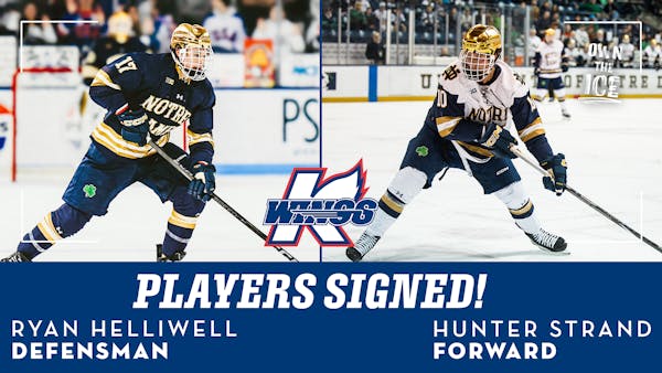 K-WINGS ADD IRISH ROOKIE PAIR IN STRAND &amp; HELLIWELL FOR 2025-26