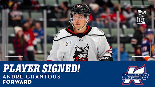 K-WINGS SIGN FORWARD ANDRE GHANTOUS FOR 2025-26