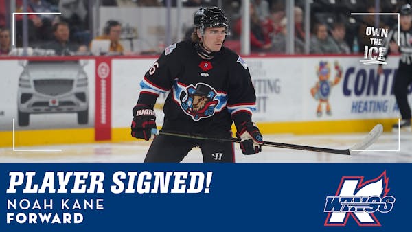 K-WINGS SIGN FORWARD NOAH KANE