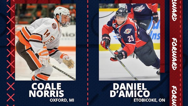 K-WINGS SIGN ROOKIE FORWARDS DANIEL D’AMICO &amp; COALE NORRIS, GIANNI VITALI SIGNED TO PTO