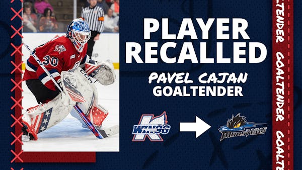 MONSTERS (AHL) RECALL ROOKIE GOALTENDER PAVEL CAJAN