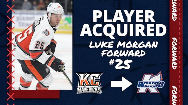 K-WINGS ACQUIRE ROOKIE FORWARD LUKE MORGAN FROM MAVERICKS