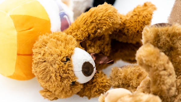 KALAMAZOO READIES FOR LAVENDER ICE / TEDDY TOSS THIS WEEK